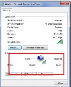 Wireless Connection Status Wireless Connection Status