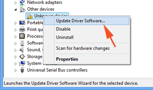 Unknown device in Device Manager in Safe Boot