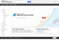 Page Speed Insights in chrome extension page