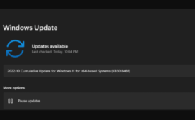 Windows 11 22000.1163 KB5018483