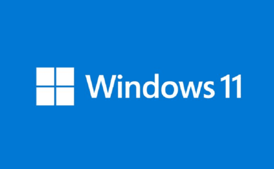 Windows 11 Build 22000.1279 KB5019157