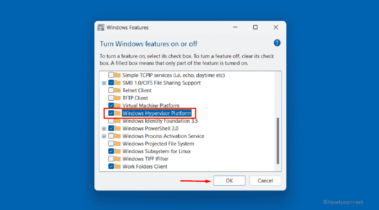 Deploy the Virtual Machine in windows 11 or 11