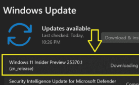 Windows 11 Insider Preview Build 25370