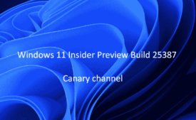 Windows 11 Build 25387