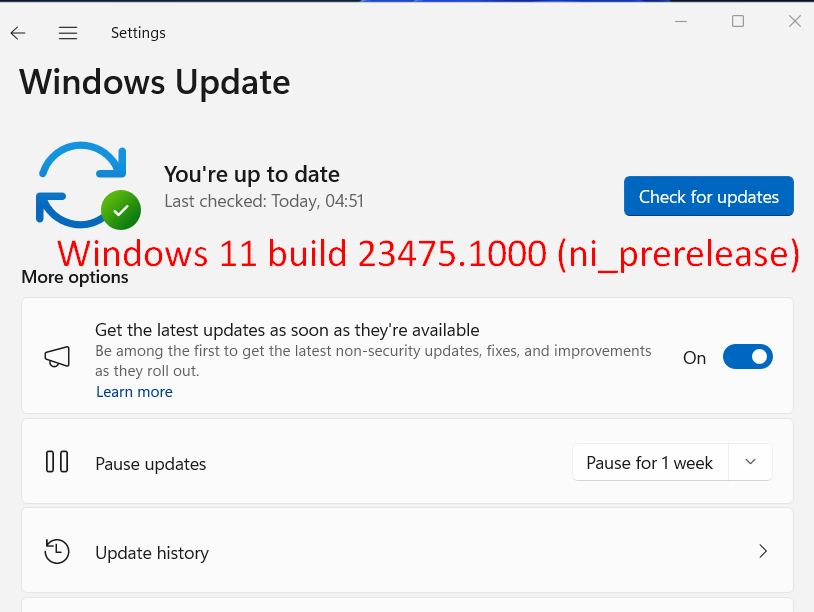 Windows 11 build 23475.1000