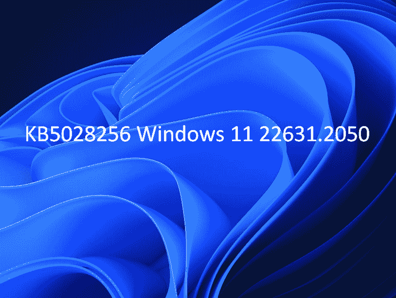 KB5028256 Windows 11 22631.2050