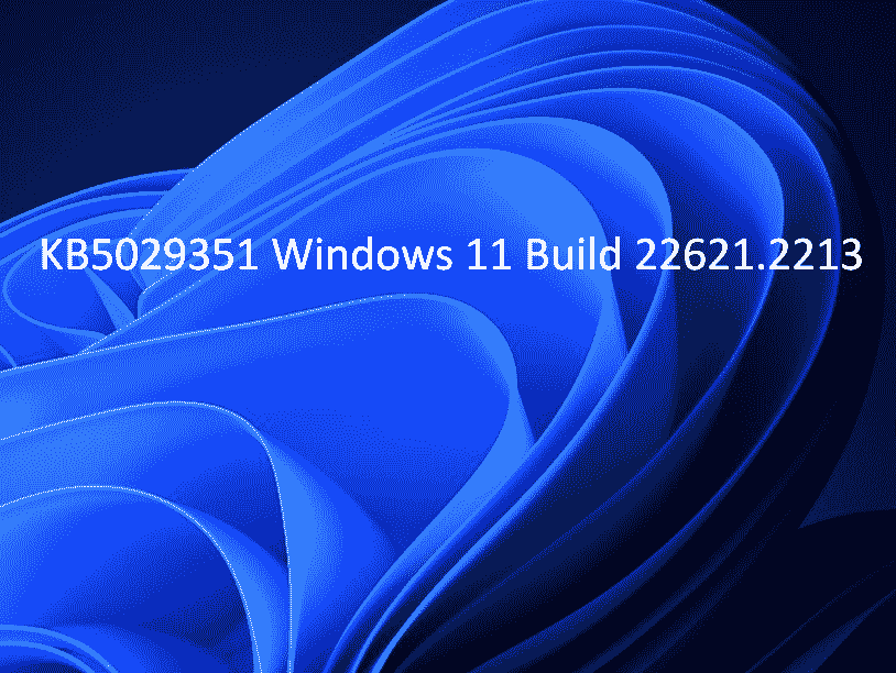 KB5029351 Windows 11 Build 22621.2213