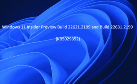 KB5029352 Windows 11Build 22631.2199 and 22621.2199