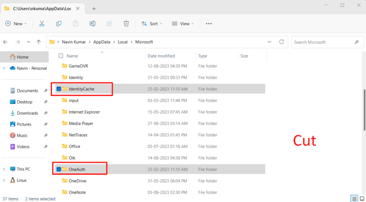 Fix Office 365 sign in not working Error 1001 in Windows
