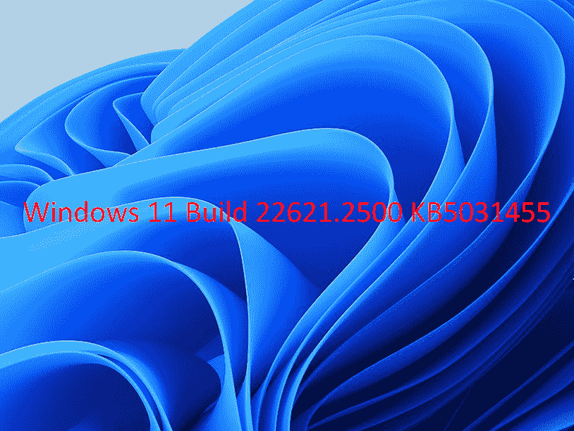 KB5031455 Windows 11 Build 22621.2500