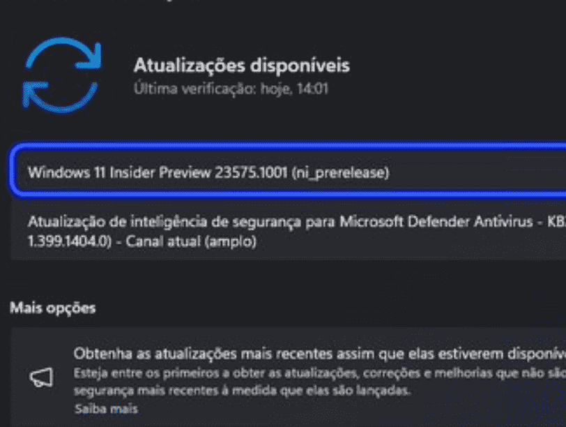 Windows 11 Build 23575.1001