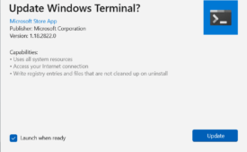 Windows Terminal v1.18.2822.0