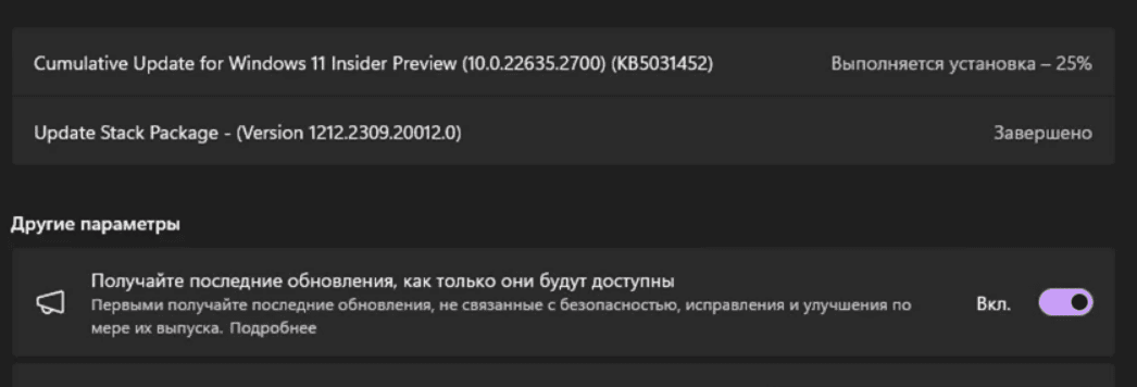 KB5034209 Windows 11 Build 22635.3066