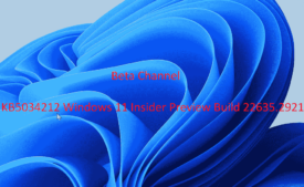 KB5034212 Windows 11 Insider Preview Build 22635.2921