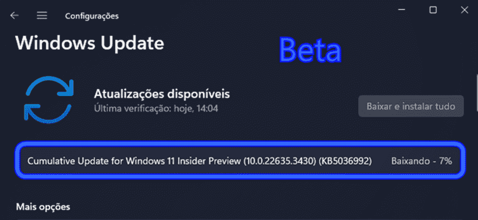 KB5036992 or Windows 11 Build 22635.3430