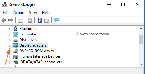 Display adapters Device Manager arrow mark to Expand
