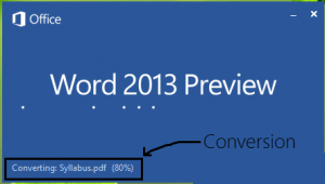 9072_Convert-PDF-in-MS-Word-Format-300x170 (1)