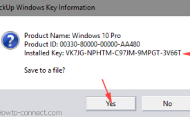 backup windows key information