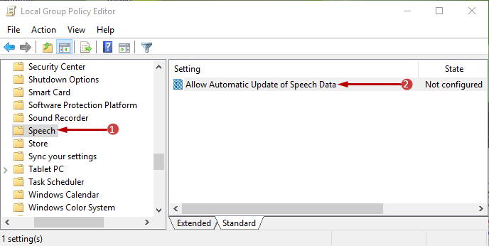 Disable Automatic Update of Speech Data on Windows 10 Pics 2