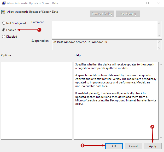 Disable Automatic Update of Speech Data on Windows 10 Pics 3