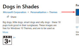 Dogs in Shades Windows 10 Theme