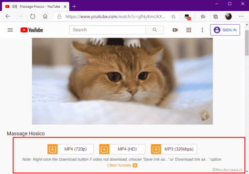 How to Download YouTube Video In Microsoft Edge