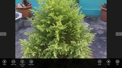 Edit image in skydrive app