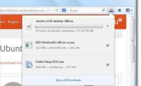 Firefox download manager