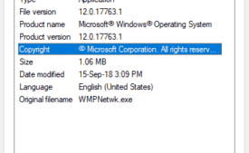 Fix wmpnetwk.exe in Windows 10 image 1