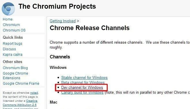 google chromium projects