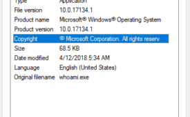 How to Disable and Fix whoami.exe in Windows 10 image 1