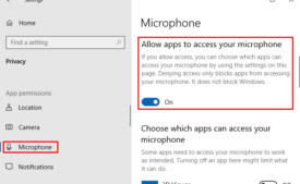 How to Enable or Disable Camera and Mic in Application Guard for Edge image 2