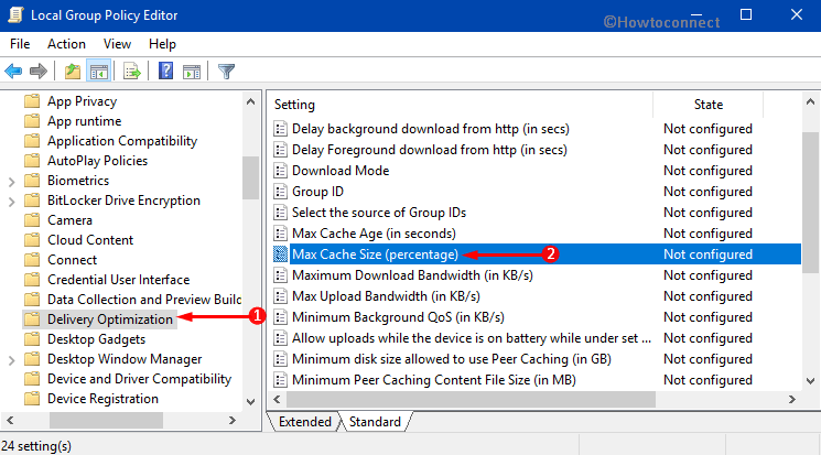 How to Set Max Cache Size that Delivery Optimization Uses on Windows 11 or 10 Pic 1