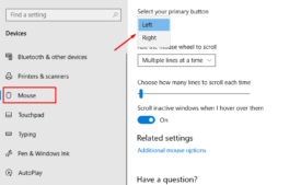 How to Switch Mouse Primary Button to Left or Right in Windows 10 - Image 1