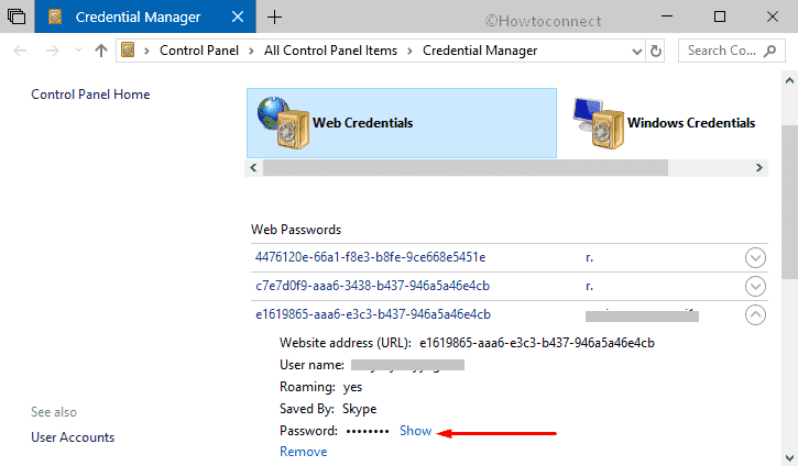 How to Use Credential Manager in Windows 10 Show Password Pic 5