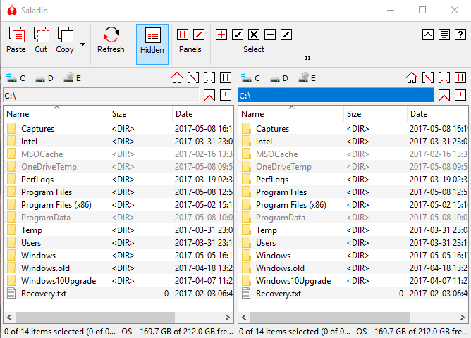 How to Use Saladin File Manager on Windows 10 pic 1