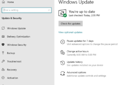 How to disable Windows 11 update permanently