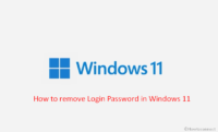 windows 11 passwordless login