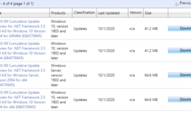 KB4576945 .NET Framework 4.8, 3.5 Windows 10 2004
