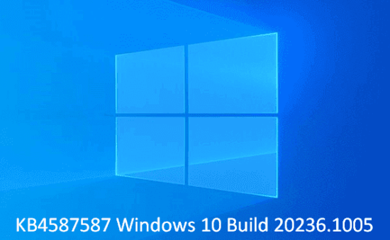KB4587587 Windows 10 Build 20236.1005