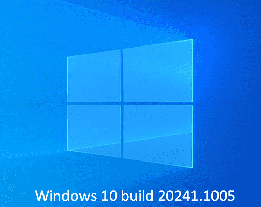 KB4589464 for Windows 10 Build 20241.1005 in Dev Channel