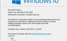 KB5001478 Windows 10 Build 21332.1010