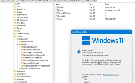 KB5015818 Windows 11 Version 22H2 22621.232
