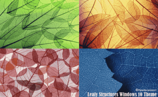 Leafy Structures Windows 10 Theme [Download]