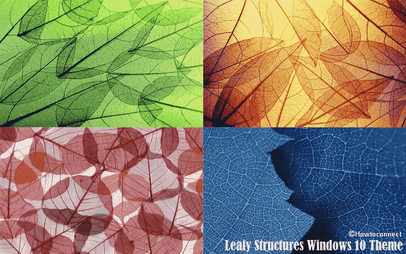 Leafy Structures Windows 10 Theme [Download]