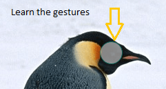 Learn the gestures Learn the gestures on picture password