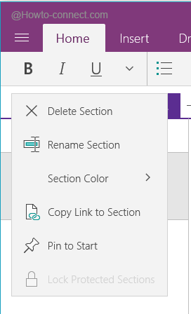 Options of the Sections in OneNote app in Windows 10