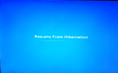Resume from Hibernation Takes long time