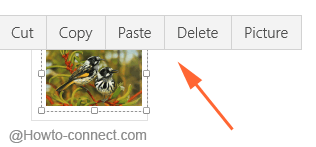 Tools to edit an inserted image in Windows 10 OneNote app