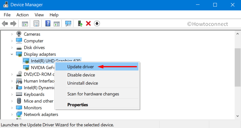 VIDEO DRIVER DEBUG REPORT REQUEST in Windows 10 Image 1